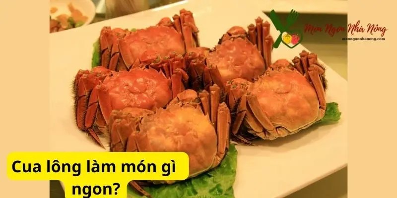 Cua lông làm món gì ngon?