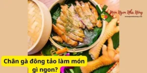 Chân gà đông tảo làm món gì ngon