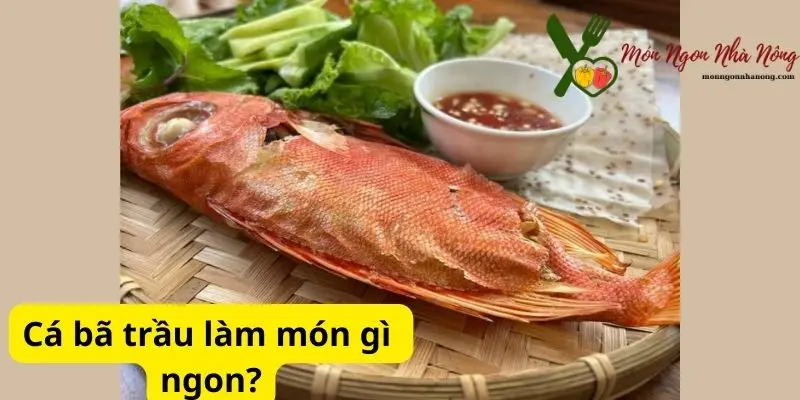 Cá bã trầu làm món gì ngon