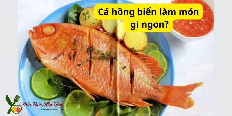 Cá hồng biển làm món gì ngon