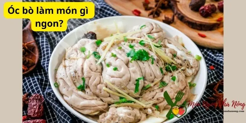 Óc bò làm món gì ngon?