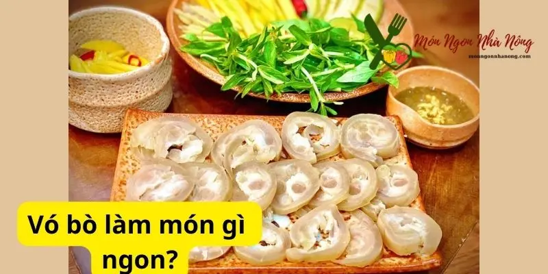 Vó bò làm món gì ngon